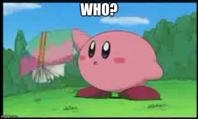 Confused Kirby | WHO? | image tagged in confused kirby | made w/ Imgflip meme maker