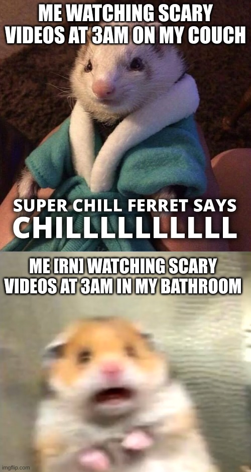 i actually feel chills down my spine | ME WATCHING SCARY VIDEOS AT 3AM ON MY COUCH; ME [RN] WATCHING SCARY VIDEOS AT 3AM IN MY BATHROOM | image tagged in kenneth says chilllllll,scared hamster | made w/ Imgflip meme maker