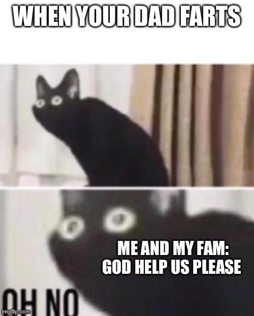 Lol who can relate to this?! | image tagged in funny,dads,farts,oh no cat | made w/ Imgflip meme maker