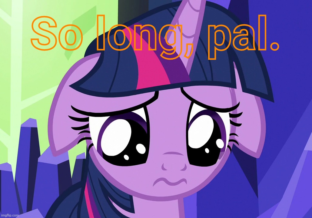 Sad Twilight (MLP) | So long, pal. | image tagged in sad twilight mlp | made w/ Imgflip meme maker