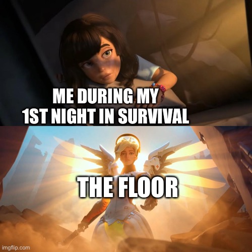 True | ME DURING MY 1ST NIGHT IN SURVIVAL; THE FLOOR | image tagged in overwatch mercy meme,minecraft,memes,funny,relatable,true | made w/ Imgflip meme maker