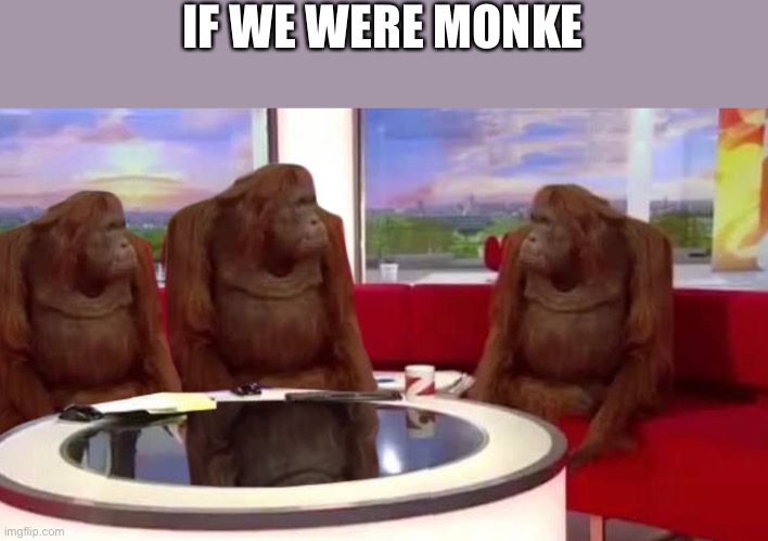 where monkey | IF WE WERE MONKE | image tagged in where monkey,monke,return to monke,reject humanity | made w/ Imgflip meme maker