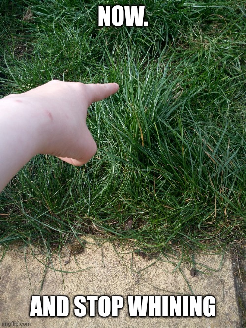 Touch Grass  Know Your Meme