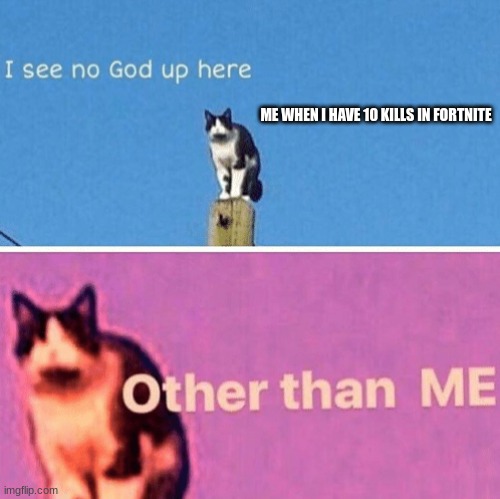 Hail pole cat | ME WHEN I HAVE 10 KILLS IN FORTNITE | image tagged in hail pole cat | made w/ Imgflip meme maker