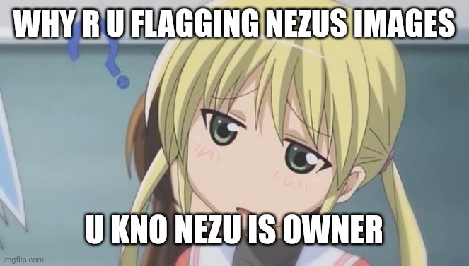 confused anime girl | WHY R U FLAGGING NEZUS IMAGES; U KNO NEZU IS OWNER | image tagged in confused anime girl | made w/ Imgflip meme maker