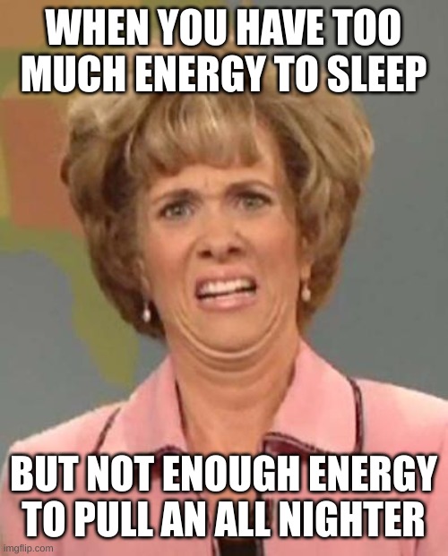 WHY?!?! |  WHEN YOU HAVE TOO MUCH ENERGY TO SLEEP; BUT NOT ENOUGH ENERGY TO PULL AN ALL NIGHTER | image tagged in disgusted kristin wiig | made w/ Imgflip meme maker