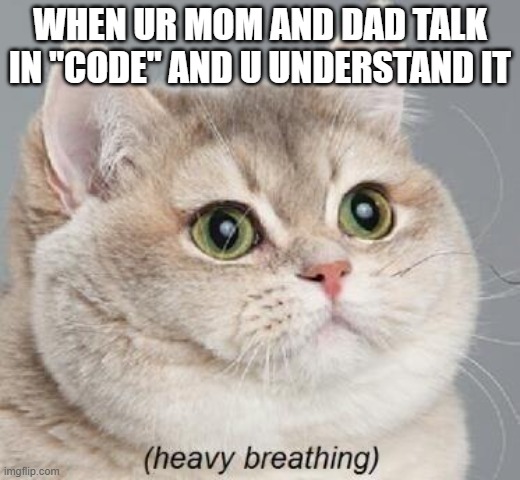 Heavy Breathing Cat |  WHEN UR MOM AND DAD TALK IN "CODE" AND U UNDERSTAND IT | image tagged in memes,heavy breathing cat | made w/ Imgflip meme maker