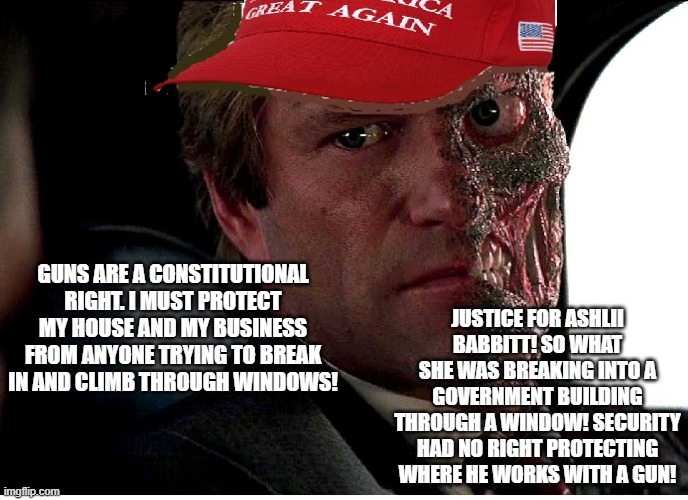 Two Face Maga | JUSTICE FOR ASHLII BABBITT! SO WHAT SHE WAS BREAKING INTO A GOVERNMENT BUILDING THROUGH A WINDOW! SECURITY HAD NO RIGHT PROTECTING WHERE HE WORKS WITH A GUN! GUNS ARE A CONSTITUTIONAL RIGHT. I MUST PROTECT MY HOUSE AND MY BUSINESS FROM ANYONE TRYING TO BREAK IN AND CLIMB THROUGH WINDOWS! | image tagged in two face maga | made w/ Imgflip meme maker