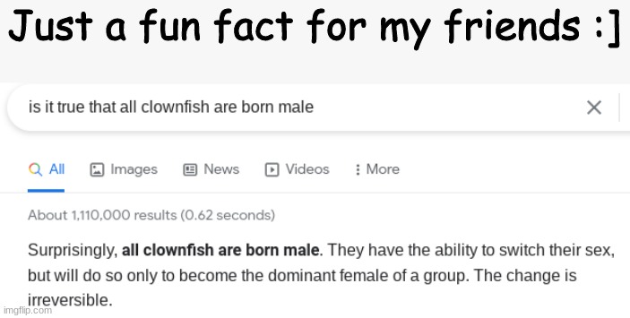 Just a fun fact for my friends :] | image tagged in trans,cool | made w/ Imgflip meme maker