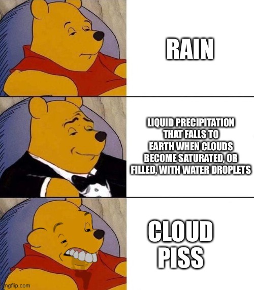 Best,Better, Blurst | RAIN LIQUID PRECIPITATION THAT FALLS TO EARTH WHEN CLOUDS BECOME SATURATED, OR FILLED, WITH WATER DROPLETS CLOUD PISS | image tagged in best better blurst | made w/ Imgflip meme maker