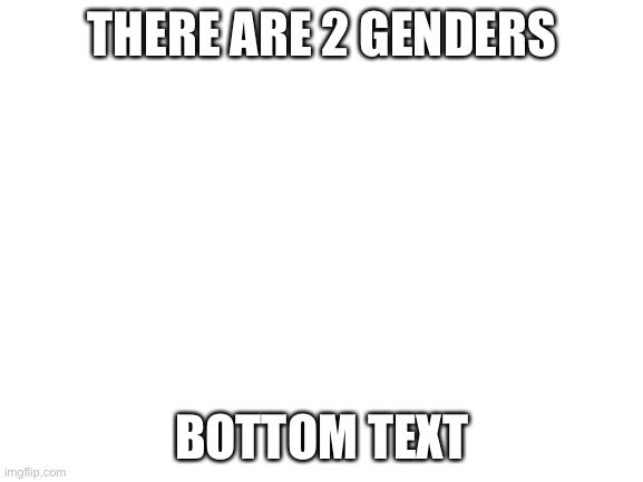 Blank White Template | THERE ARE 2 GENDERS; BOTTOM TEXT | image tagged in blank white template | made w/ Imgflip meme maker
