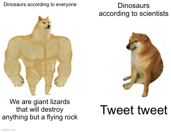 Buff Doge vs. Cheems |  Dinosaurs according to everyone; Dinosaurs according to scientists; We are giant lizards that will destroy anything but a flying rock; Tweet tweet | image tagged in memes,buff doge vs cheems,dinosaur | made w/ Imgflip meme maker