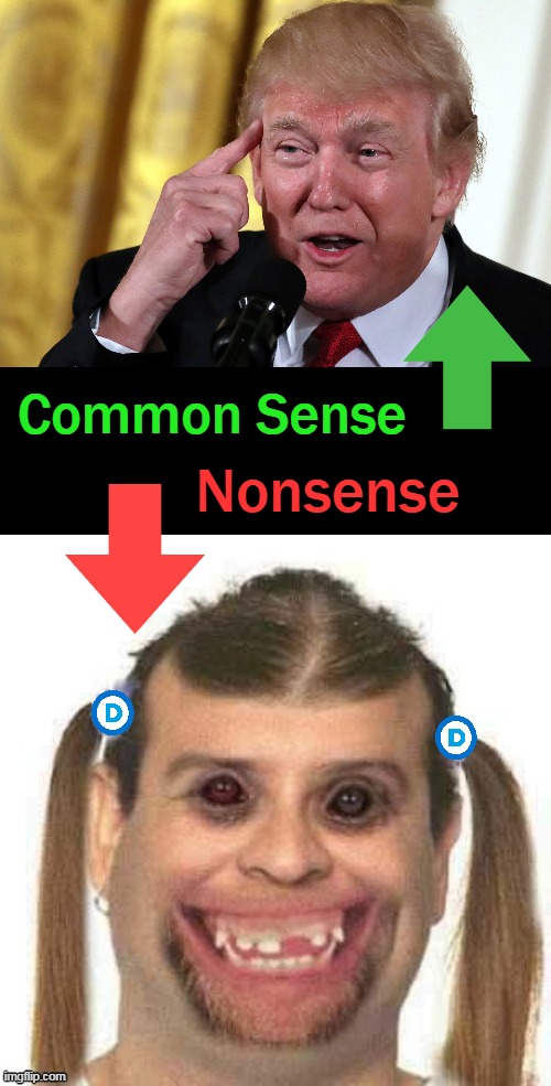 What should be obvious to all . . . . | image tagged in politics,donald trump,common sense,democrats,common core,obvious | made w/ Imgflip meme maker