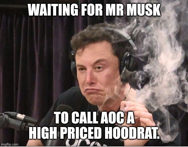 Elon Musk smoking a joint | WAITING FOR MR MUSK; TO CALL AOC A HIGH PRICED HOODRAT. | image tagged in elon musk smoking a joint | made w/ Imgflip meme maker