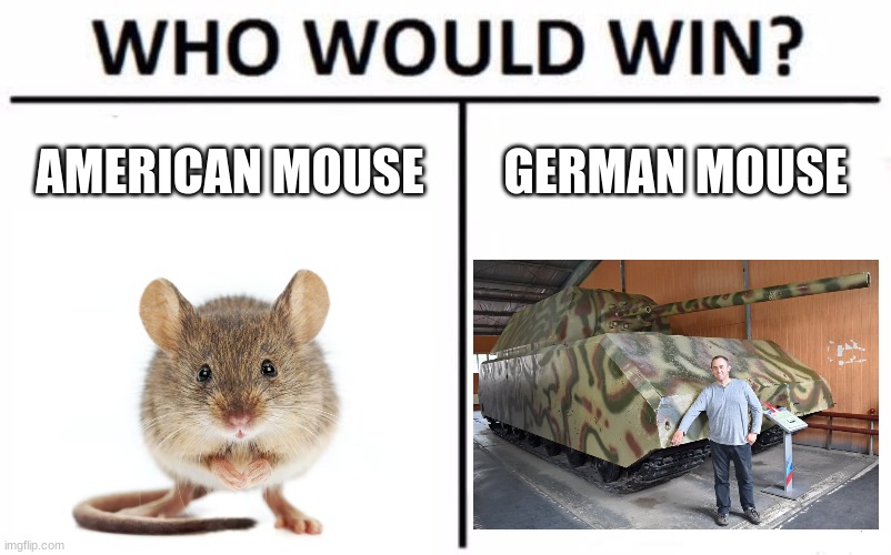 Who Would Win? | AMERICAN MOUSE; GERMAN MOUSE | image tagged in memes,who would win | made w/ Imgflip meme maker