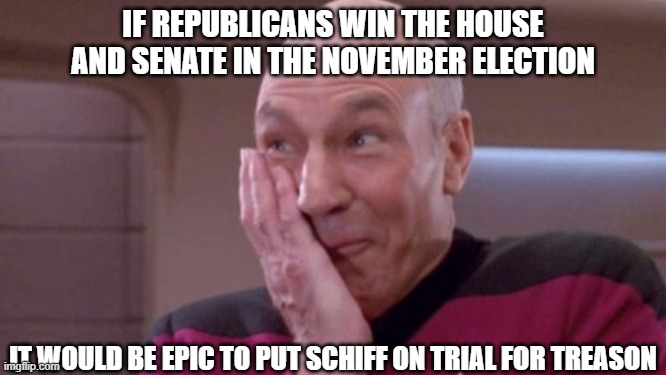 picard oops | IF REPUBLICANS WIN THE HOUSE AND SENATE IN THE NOVEMBER ELECTION IT WOULD BE EPIC TO PUT SCHIFF ON TRIAL FOR TREASON | image tagged in picard oops | made w/ Imgflip meme maker
