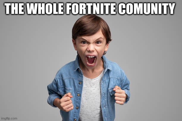 true | THE WHOLE FORTNITE COMUNITY | image tagged in angry child | made w/ Imgflip meme maker