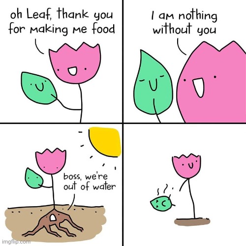 Lack of water | image tagged in water,comics,comics/cartoons,comic,no water,plants | made w/ Imgflip meme maker