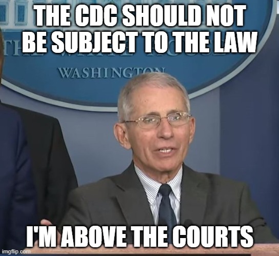 Dr Fauci | THE CDC SHOULD NOT BE SUBJECT TO THE LAW; I'M ABOVE THE COURTS | image tagged in dr fauci | made w/ Imgflip meme maker