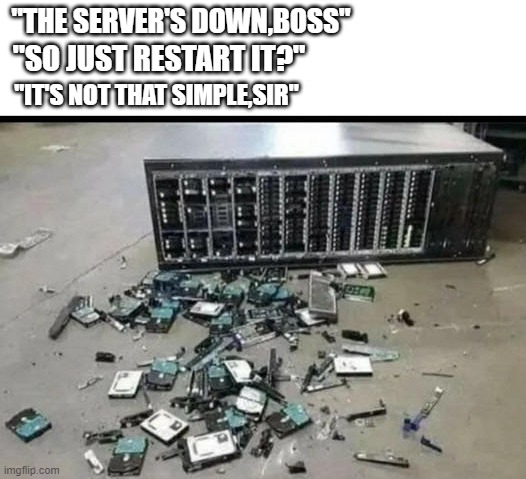 "THE SERVER'S DOWN,BOSS"; "SO JUST RESTART IT?"; "IT'S NOT THAT SIMPLE,SIR" | image tagged in server | made w/ Imgflip meme maker