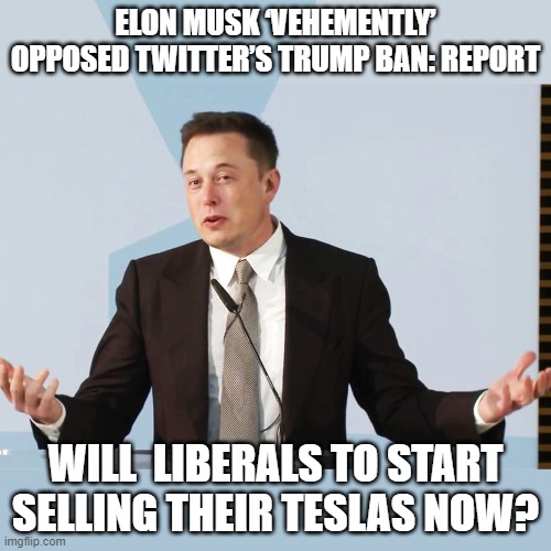 Elon Musk opposed Twitter banning trump | ELON MUSK ‘VEHEMENTLY’ OPPOSED TWITTER’S TRUMP BAN: REPORT; WILL  LIBERALS TO START SELLING THEIR TESLAS NOW? | image tagged in elon musk | made w/ Imgflip meme maker