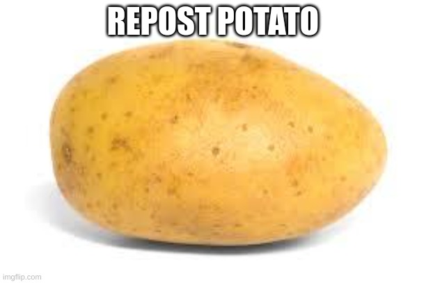 Potato | REPOST POTATO | image tagged in potato | made w/ Imgflip meme maker