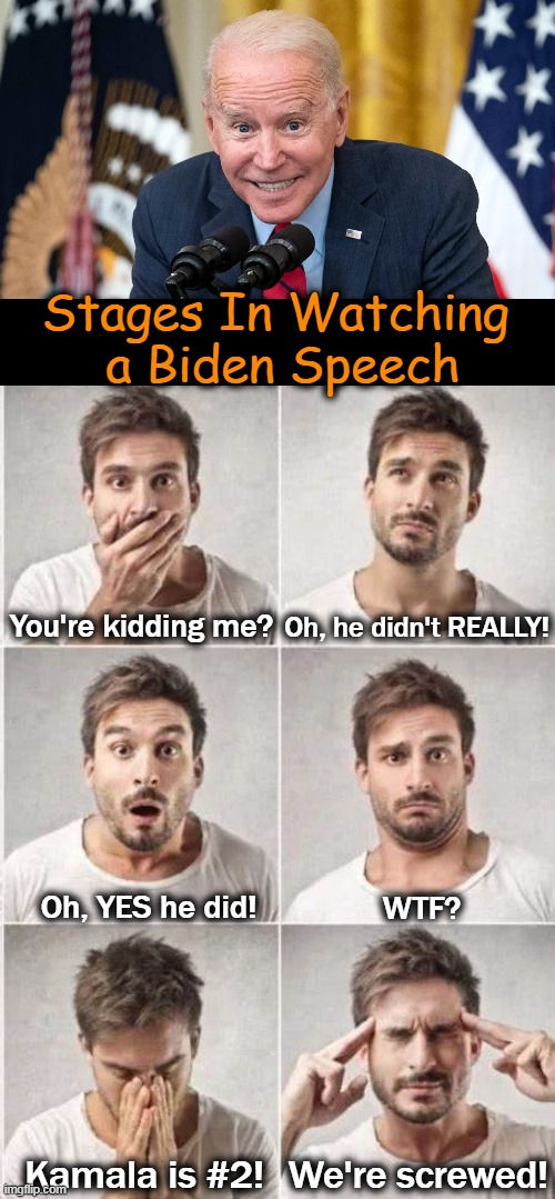 And The Malicious Media Fawns . . . | Stages In Watching 
a Biden Speech; Oh, he didn't REALLY! You're kidding me? Oh, YES he did! WTF? We're screwed! Kamala is #2! | image tagged in politics,joe biden,speech,stages,disbelief,wtf | made w/ Imgflip meme maker