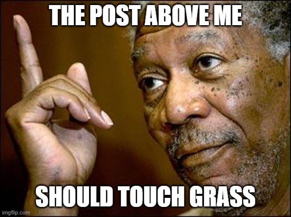 The post above me should touch grass | THE POST ABOVE ME; SHOULD TOUCH GRASS | image tagged in this morgan freeman | made w/ Imgflip meme maker