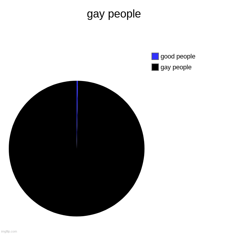 gay people  | gay people, good people | image tagged in charts,pie charts | made w/ Imgflip chart maker