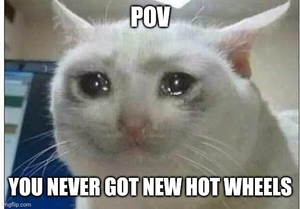 Sad |  POV; YOU NEVER GOT NEW HOT WHEELS | image tagged in crying cat | made w/ Imgflip meme maker
