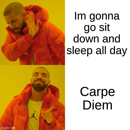 Carpe Diem | Im gonna go sit down and sleep all day; Carpe Diem | image tagged in memes,drake hotline bling | made w/ Imgflip meme maker