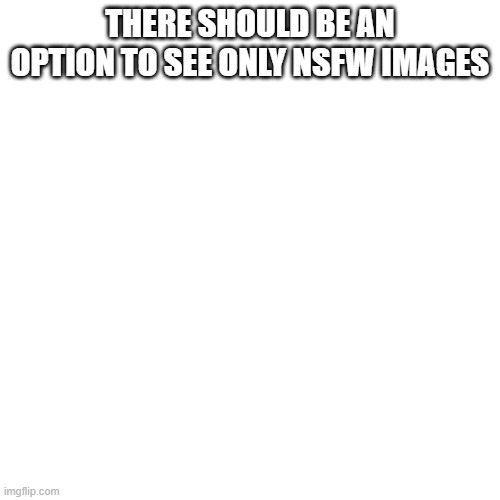 Blank Transparent Square Meme | THERE SHOULD BE AN OPTION TO SEE ONLY NSFW IMAGES | image tagged in memes,blank transparent square | made w/ Imgflip meme maker