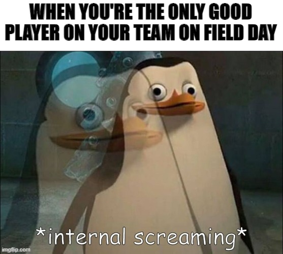 True story | WHEN YOU'RE THE ONLY GOOD PLAYER ON YOUR TEAM ON FIELD DAY | image tagged in private internal screaming | made w/ Imgflip meme maker