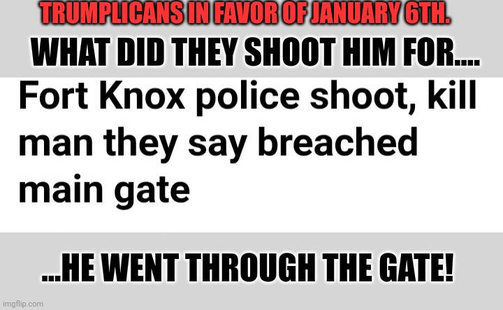 WHAT DID THEY SHOOT HIM FOR.... ...HE WENT THROUGH THE GATE! TRUMPLICANS IN FAVOR OF JANUARY 6TH. | made w/ Imgflip meme maker