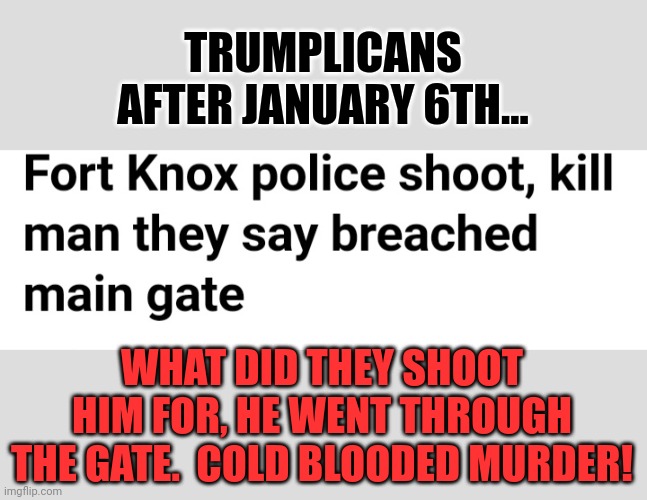 January 6th crybabys....but but but they held doors open...ey let is in..... | TRUMPLICANS AFTER JANUARY 6TH... WHAT DID THEY SHOOT HIM FOR, HE WENT THROUGH THE GATE.  COLD BLOODED MURDER! | made w/ Imgflip meme maker