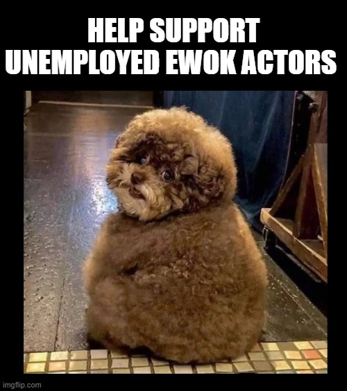 You can make a difference | HELP SUPPORT
UNEMPLOYED EWOK ACTORS | image tagged in star wars,return of the jedi,ewok,dogs,funny dogs,fat dog | made w/ Imgflip meme maker