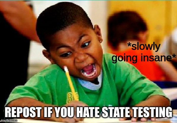 BFYYBFNBFVGBNUIUBIVYFUB | *slowly going insane*; REPOST IF YOU HATE STATE TESTING | image tagged in funny kid testing | made w/ Imgflip meme maker