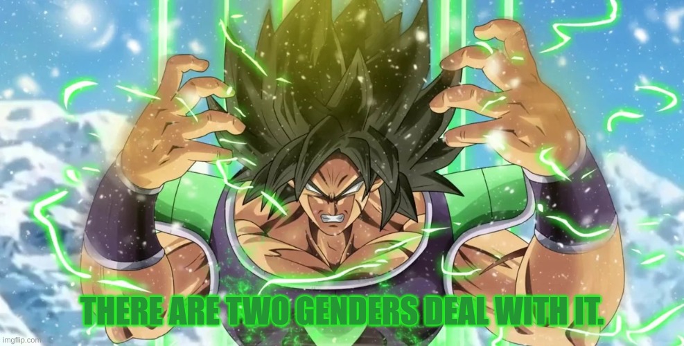 . | THERE ARE TWO GENDERS DEAL WITH IT. | made w/ Imgflip meme maker