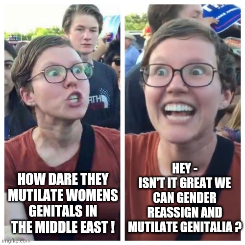 Liberal Logic 102 | HEY -
ISN'T IT GREAT WE CAN GENDER REASSIGN AND MUTILATE GENITALIA ? HOW DARE THEY MUTILATE WOMENS GENITALS IN THE MIDDLE EAST ! | image tagged in social justice warrior hypocrisy,muslim,liberals,democrats,gender,hhs | made w/ Imgflip meme maker