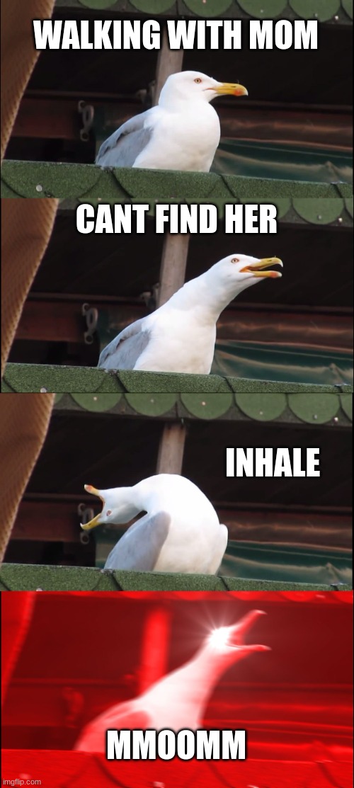 Inhaling Seagull | WALKING WITH MOM; CANT FIND HER; INHALE; MMOOMM | image tagged in memes,inhaling seagull | made w/ Imgflip meme maker