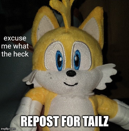 REPOST FOR TAILZ | image tagged in tailz | made w/ Imgflip meme maker