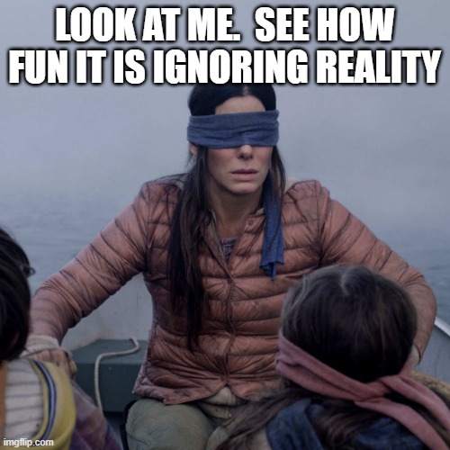 Bird Box Meme | LOOK AT ME.  SEE HOW FUN IT IS IGNORING REALITY | image tagged in memes,bird box | made w/ Imgflip meme maker