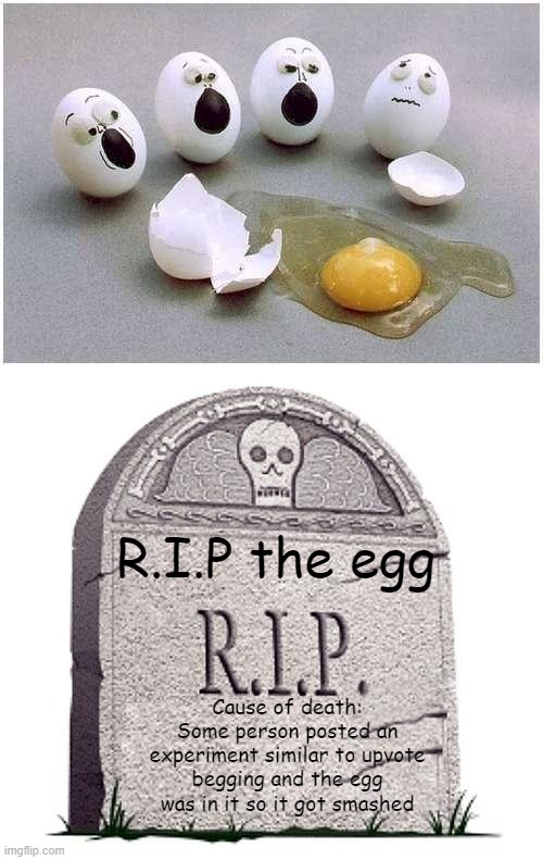 R.I.P the egg Cause of death:
Some person posted an experiment similar to upvote begging and the egg was in it so it got smashed | image tagged in this broken egg,rip | made w/ Imgflip meme maker