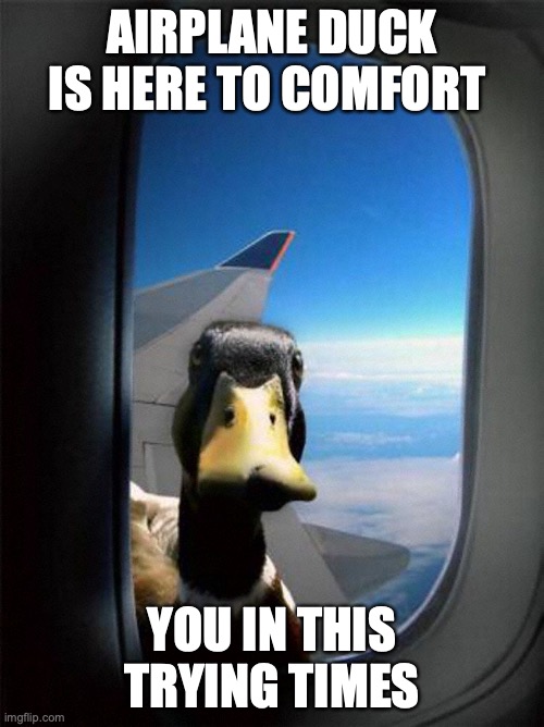 Airplane Duck |  AIRPLANE DUCK IS HERE TO COMFORT; YOU IN THIS TRYING TIMES | image tagged in airplane duck | made w/ Imgflip meme maker