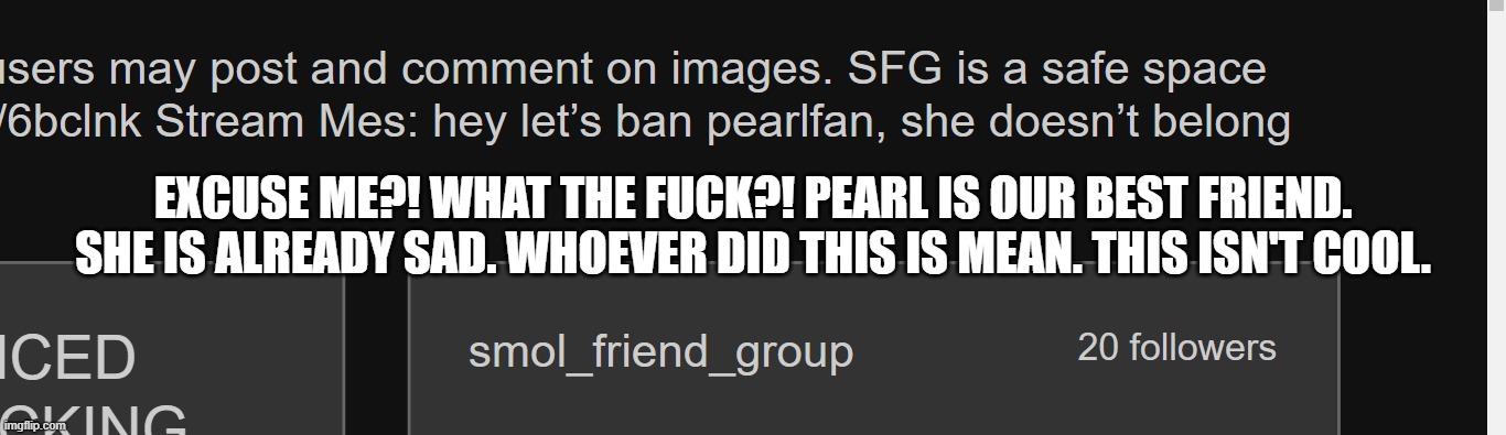 #PearlBelongs | EXCUSE ME?! WHAT THE FUCK?! PEARL IS OUR BEST FRIEND. SHE IS ALREADY SAD. WHOEVER DID THIS IS MEAN. THIS ISN'T COOL. | made w/ Imgflip meme maker