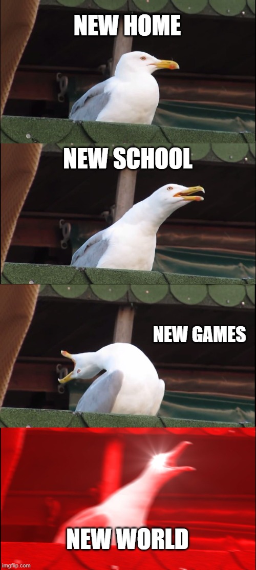 Inhaling Seagull | NEW HOME; NEW SCHOOL; NEW GAMES; NEW WORLD | image tagged in memes,inhaling seagull | made w/ Imgflip meme maker
