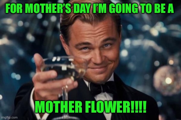 Leonardo Dicaprio Cheers Meme | FOR MOTHER’S DAY I’M GOING TO BE A; MOTHER FLOWER!!!! | image tagged in memes,leonardo dicaprio cheers | made w/ Imgflip meme maker