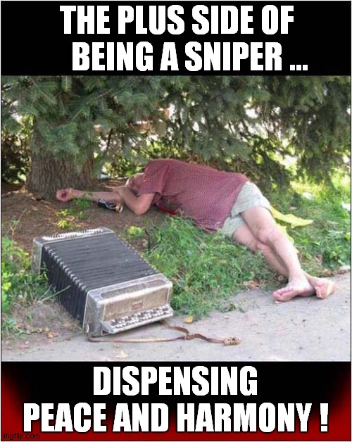He Needed To Be Taken Care Of ! | THE PLUS SIDE OF
    BEING A SNIPER ... DISPENSING PEACE AND HARMONY ! | image tagged in sniper,harmonium,dark humour | made w/ Imgflip meme maker