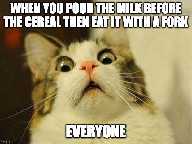Sorry I haven't posted in a few weeks. Or was it months? | WHEN YOU POUR THE MILK BEFORE THE CEREAL THEN EAT IT WITH A FORK; EVERYONE | image tagged in memes,scared cat | made w/ Imgflip meme maker