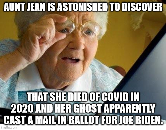 Seems there's a LOT of "disinformation" going around |  AUNT JEAN IS ASTONISHED TO DISCOVER; THAT SHE DIED OF COVID IN 2020 AND HER GHOST APPARENTLY CAST A MAIL IN BALLOT FOR JOE BIDEN. | image tagged in old lady at computer,covid,2020 elections | made w/ Imgflip meme maker